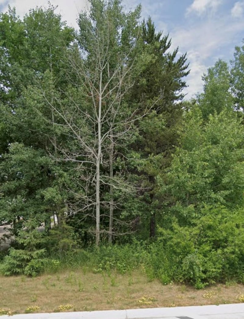 Lot 15 Pine St, Brainerd, MN 56401
