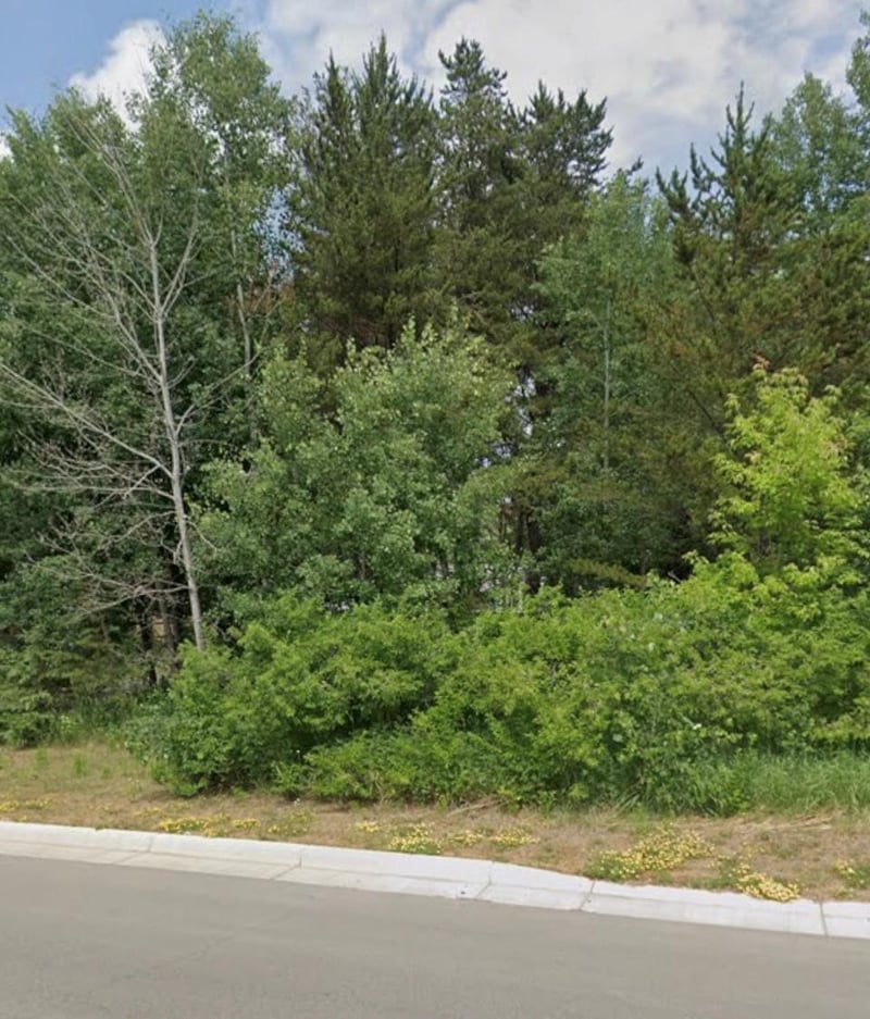 Lot 15 Pine St, Brainerd, MN 56401