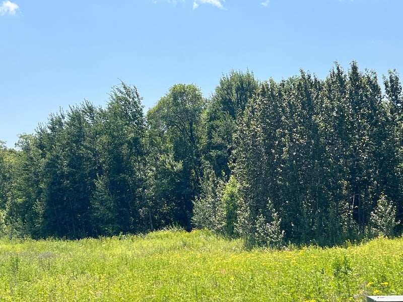 36200 County Road 39, Laporte, MN 56461