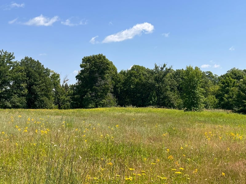 36200 County Road 39, Laporte, MN 56461