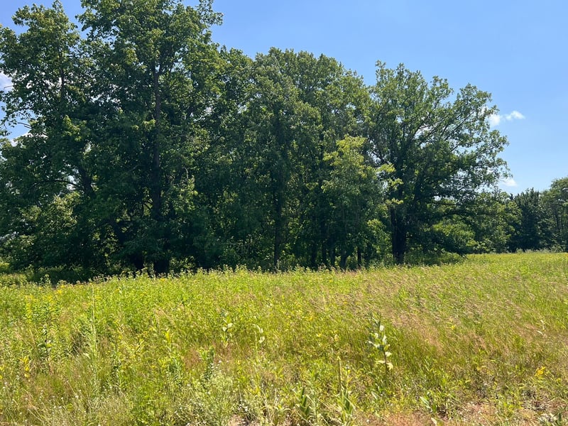 36200 County Road 39, Laporte, MN 56461