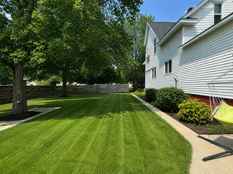 98 Vernon Ave, Morgan, MN 56266