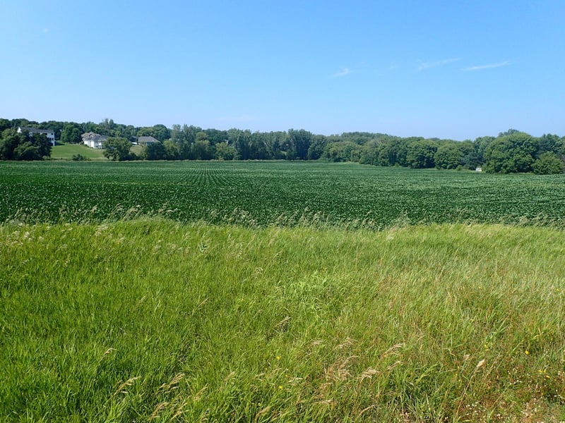 XXX22 60th St SW, Cokato, MN 55321