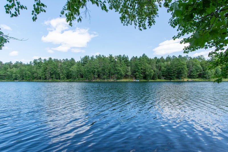 5778 S Bass Lake Rd NE, Remer, MN 56662