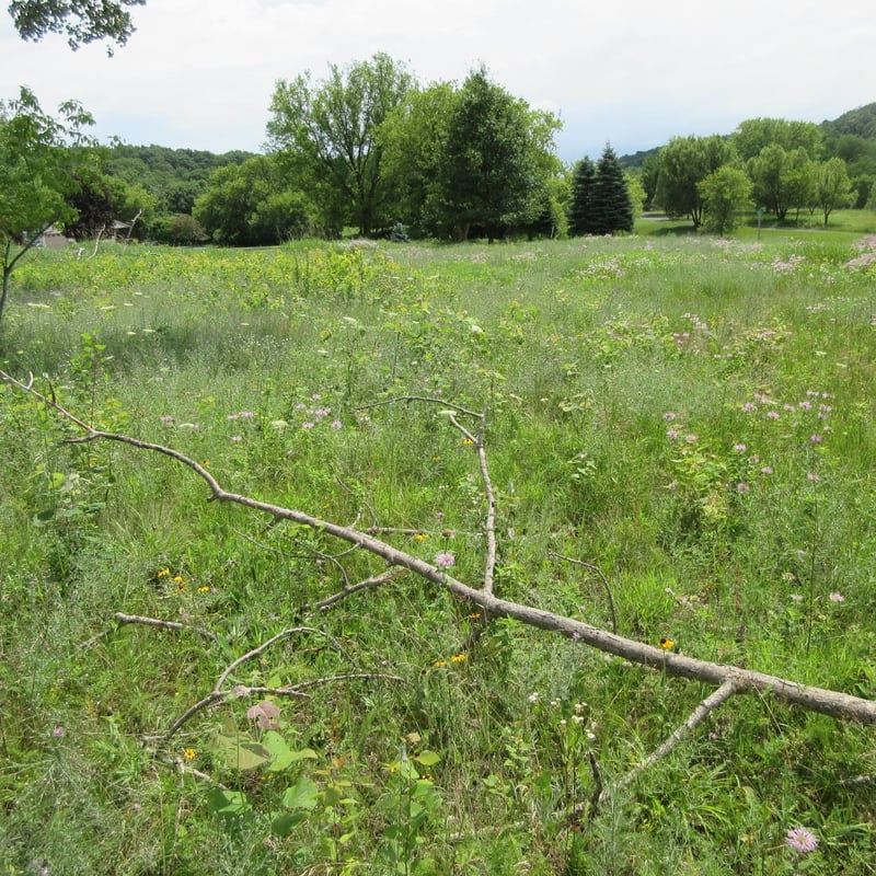 Lot 12 516th St, Menomonie, WI 54751