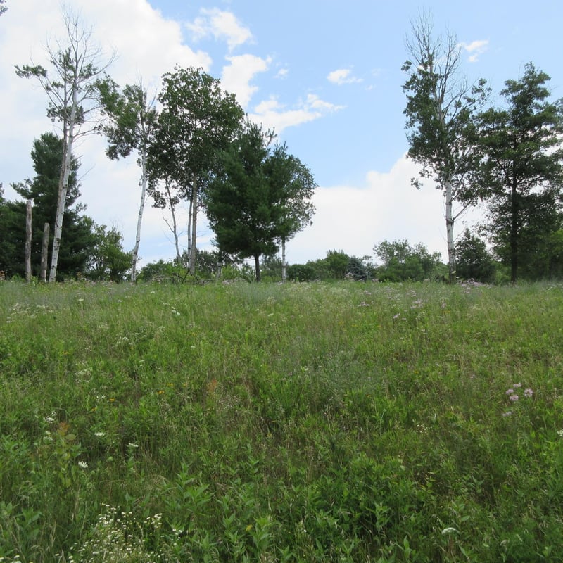 Lot 13 Street, Menomonie, WI 54751
