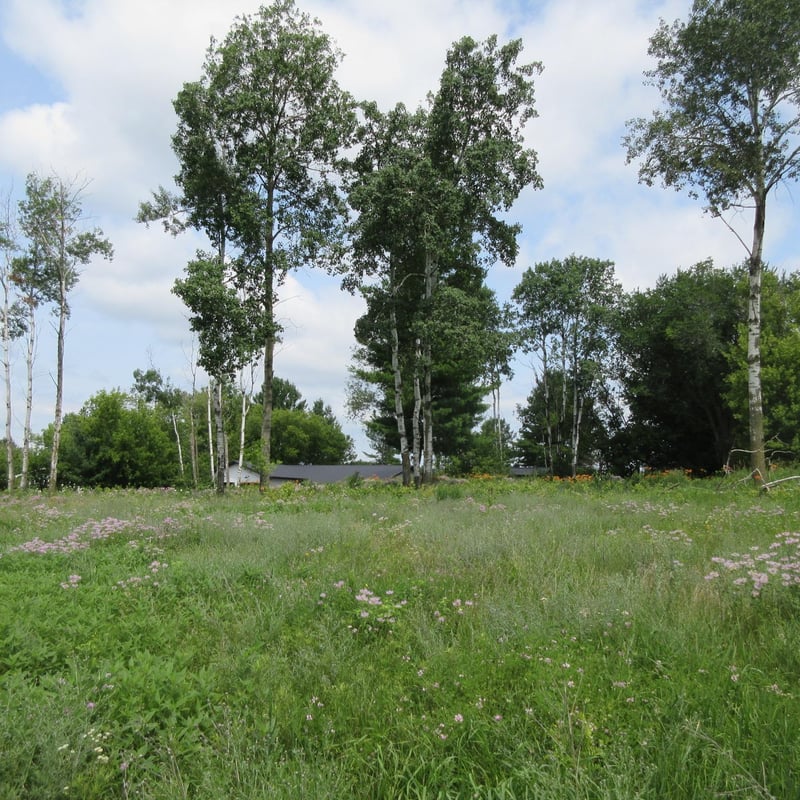 Lot 13 Street, Menomonie, WI 54751