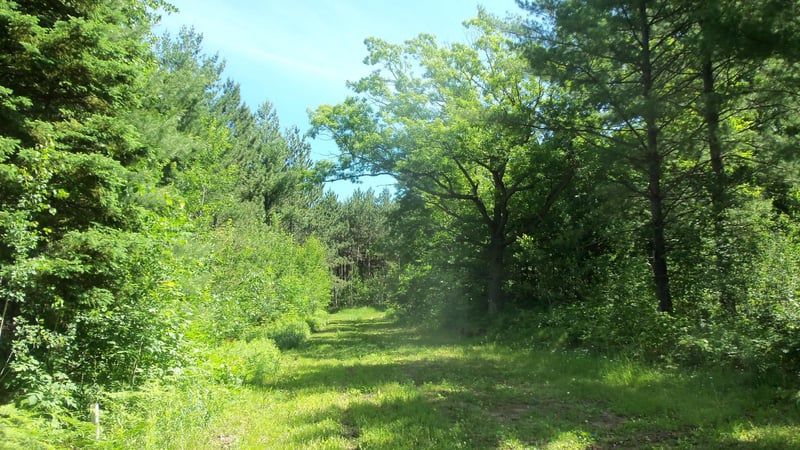 XXX Bashaw Store Rd, Shell Lake, WI 54871