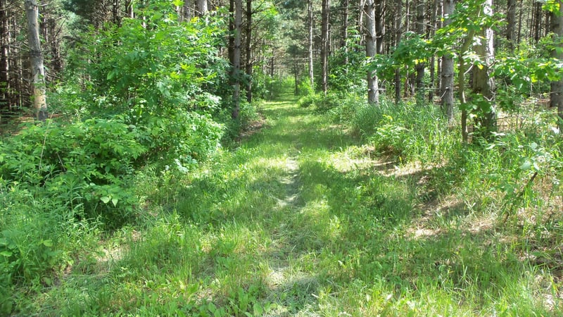 XXX Bashaw Store Rd, Shell Lake, WI 54871
