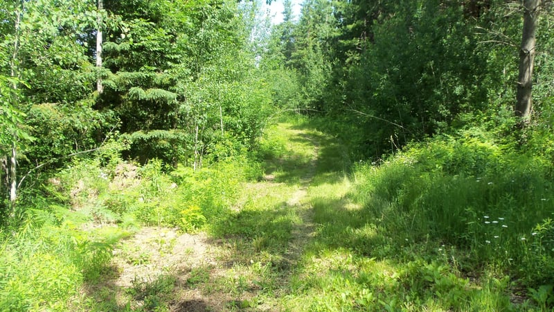 XXX Bashaw Store Rd, Shell Lake, WI 54871