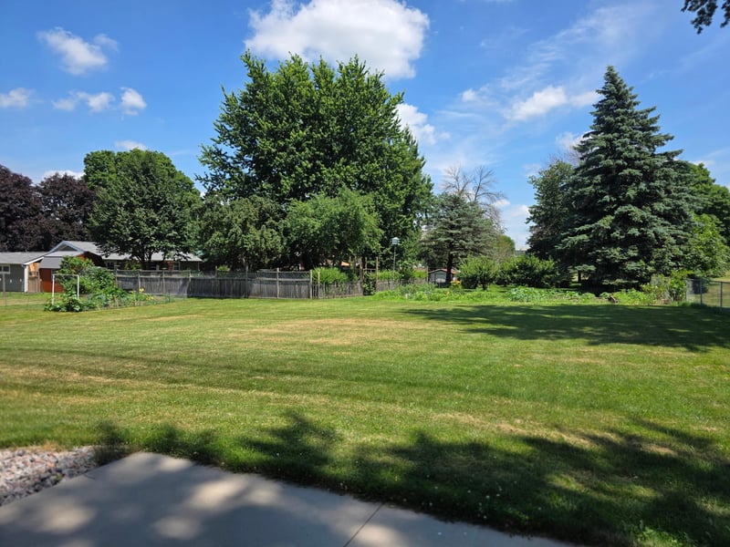 411 Bullis St, Kenyon, MN 55946