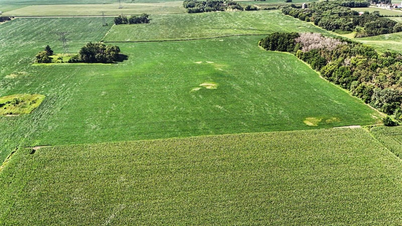 TBD 50th St S, Afton, MN 55001