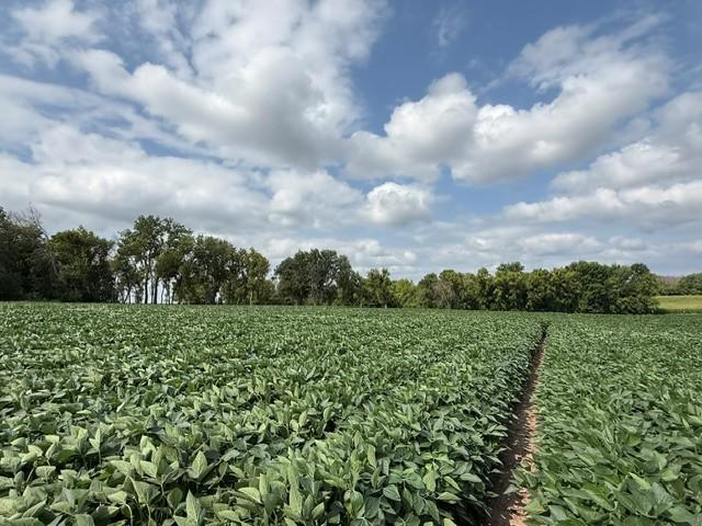 Lot A Lehigh Rd, Cottage Grove, MN 55016