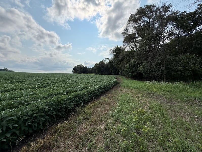 Lot A Lehigh Rd, Cottage Grove, MN 55016