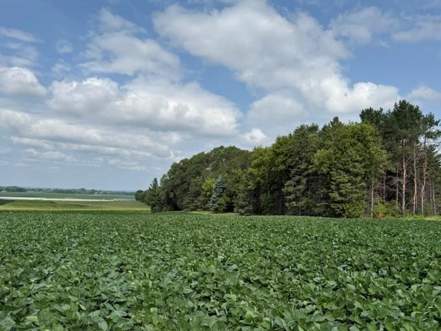 Lot A Lehigh Rd, Cottage Grove, MN 55016