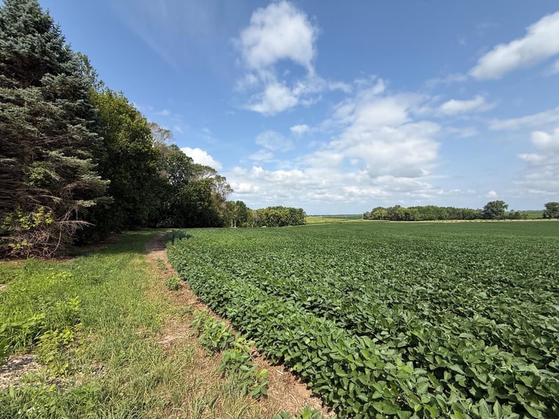 Lot A Lehigh Rd, Cottage Grove, MN 55016