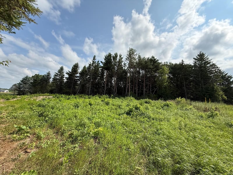 Lot B Lehigh Rd, Cottage Grove, MN 55016
