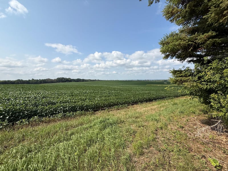 Lot B Lehigh Rd, Cottage Grove, MN 55016