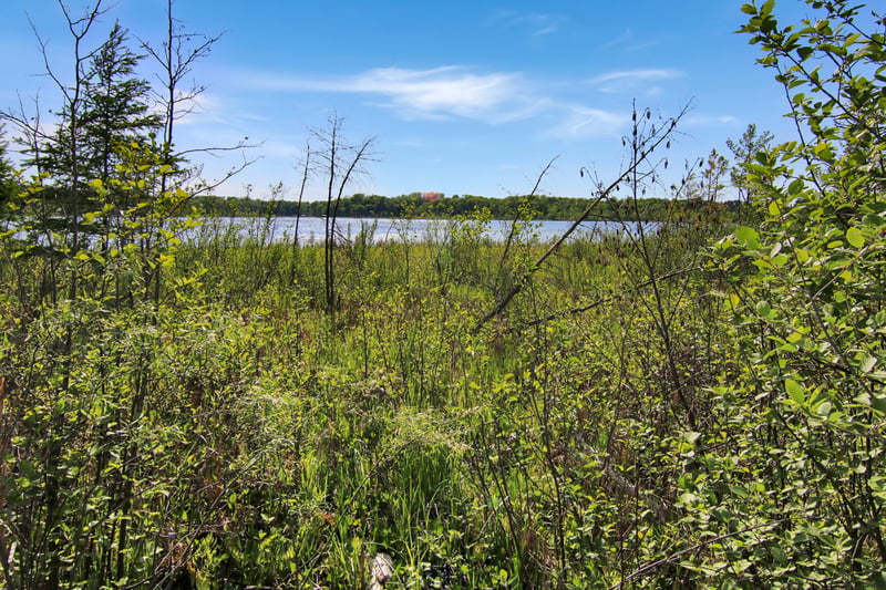 4294 Nod A Way Dr, Nisswa, MN 56468