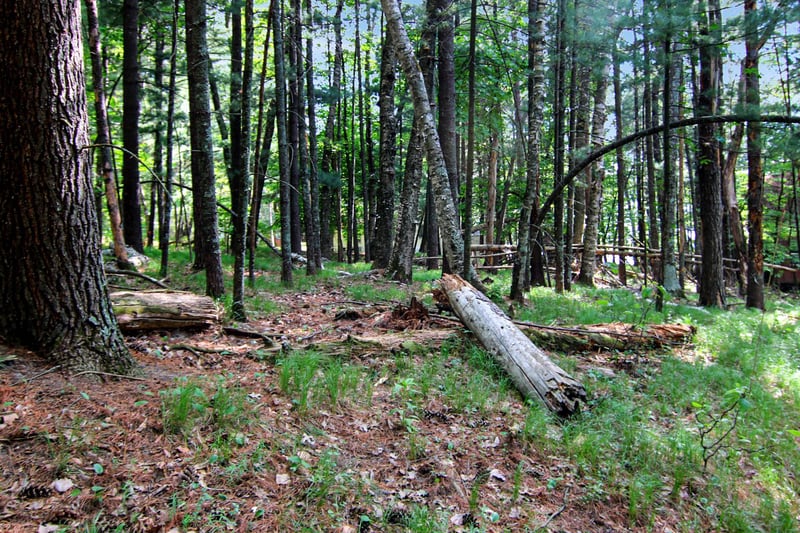 4294 Nod A Way Dr, Nisswa, MN 56468
