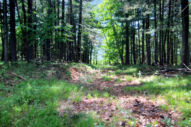 4294 Nod A Way Dr, Nisswa, MN 56468