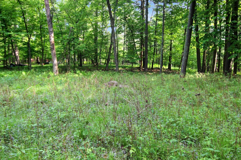 4294 Nod A Way Dr, Nisswa, MN 56468