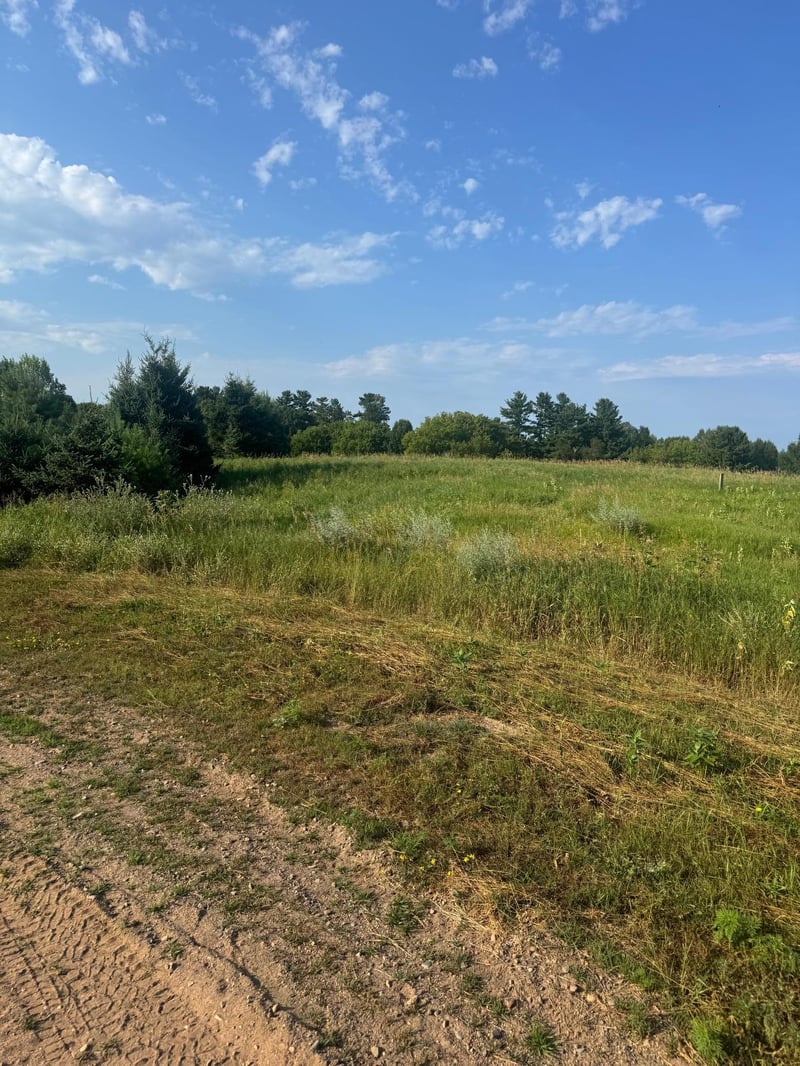 TBD 256th Ln, Aitkin, MN 56431