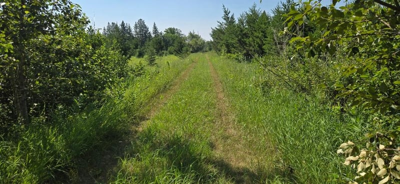 TBD County Road 7, Verndale, MN 56481