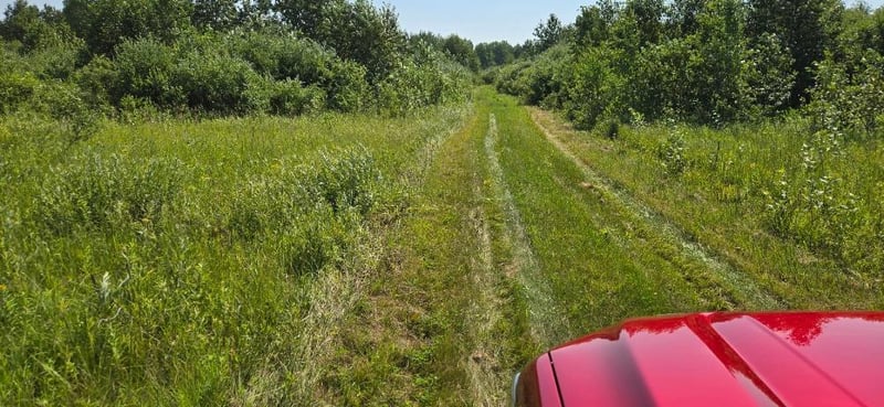 TBD County Road 7, Verndale, MN 56481