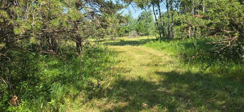 TBD County Road 7, Verndale, MN 56481