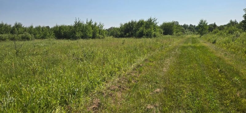 TBD County Road 7, Verndale, MN 56481