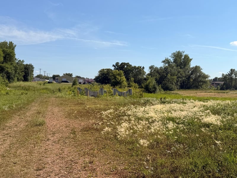 170 Swendra Blvd NE, Cokato, MN 55321