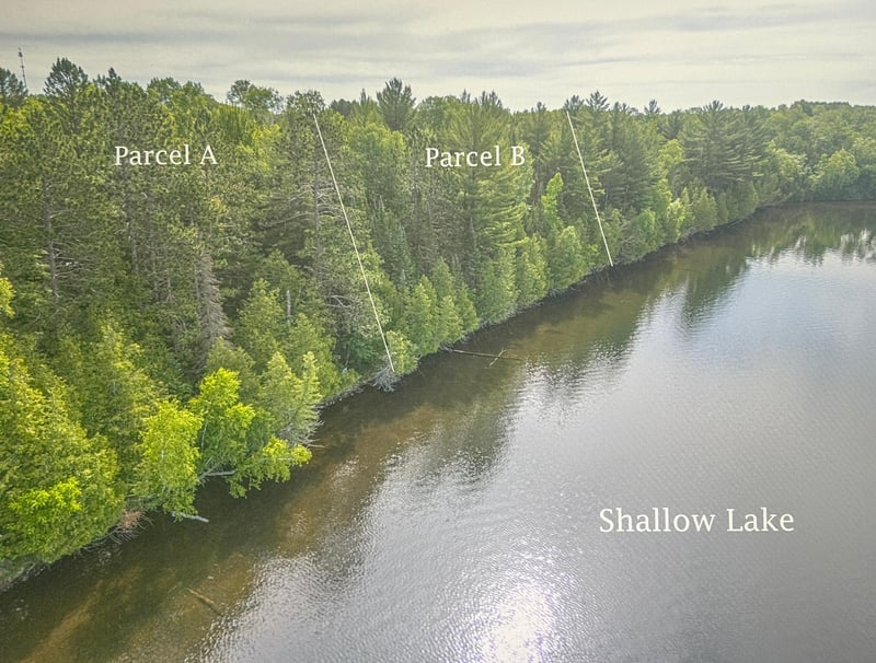 TBD Parcel B North Shallow Lake Rd, Warba, MN 55793