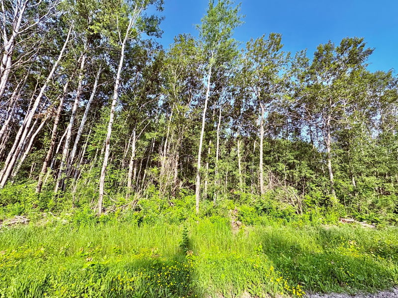 TBD 21st Ave Sw, Baudette, MN 56623