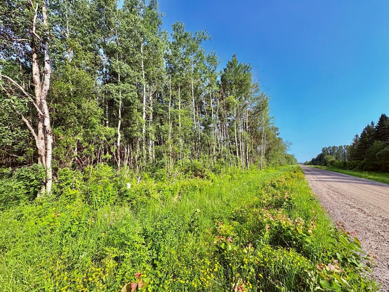 TBD 21st Ave Sw, Baudette, MN 56623