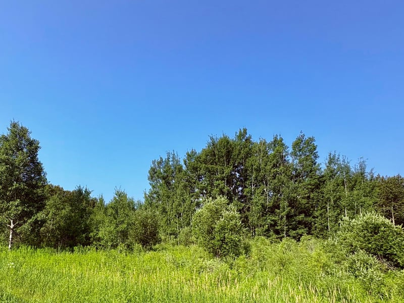 TBD 21st Ave Sw, Baudette, MN 56623