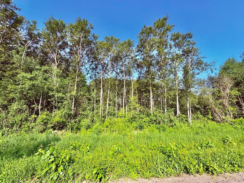TBD 21st Ave Sw, Baudette, MN 56623