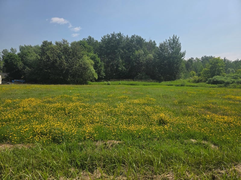 XX Washington Ave, Port Wing, WI 54865