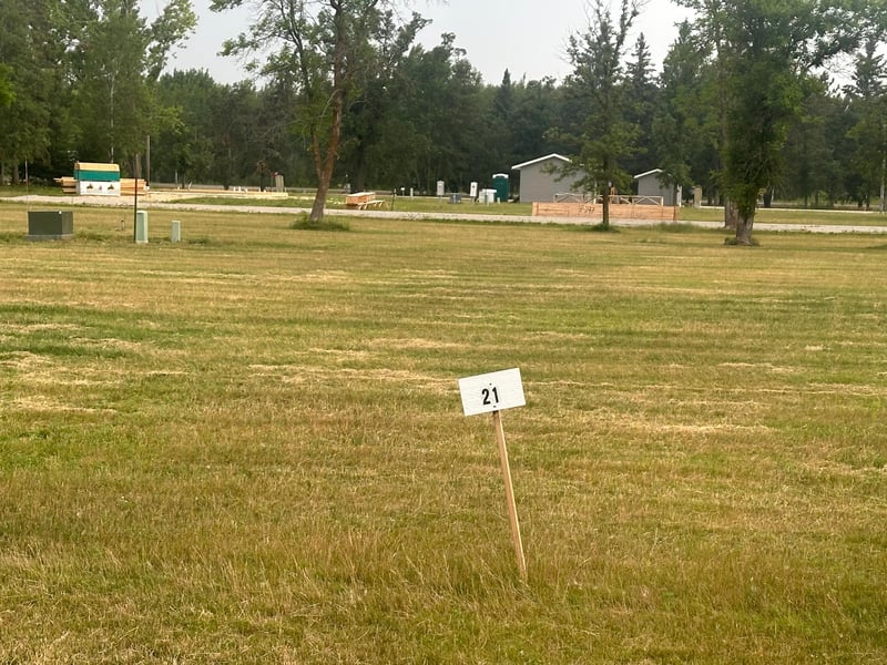 52170 State Highway 11 Lot 21, Salol, MN 56756