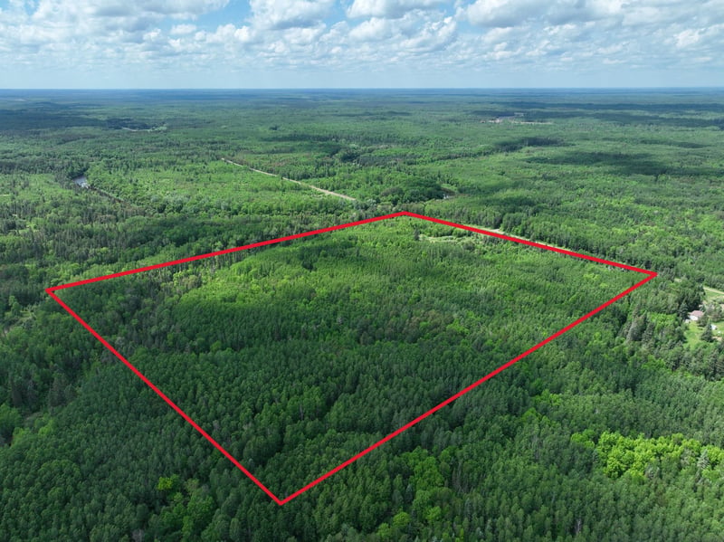 TBD Town 43 Rd E, Littlefork, MN 56653