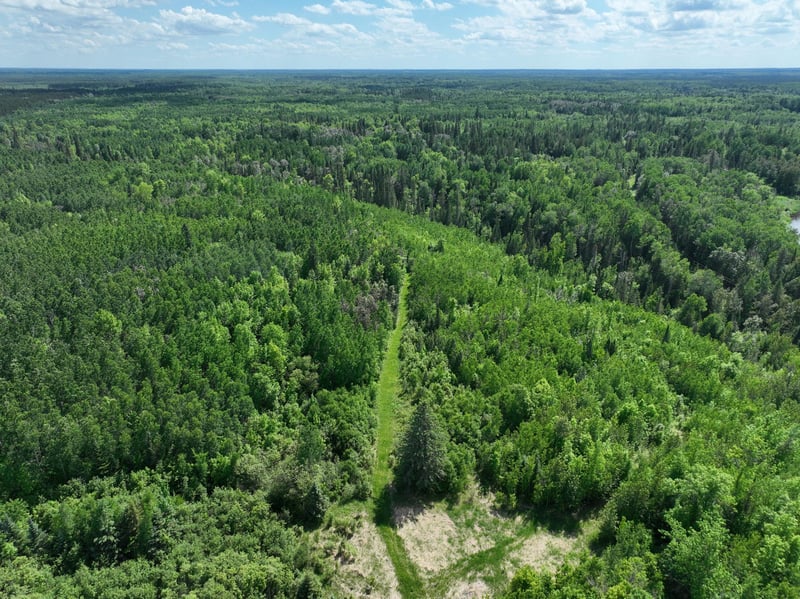 TBD Town 43 Rd E, Littlefork, MN 56653