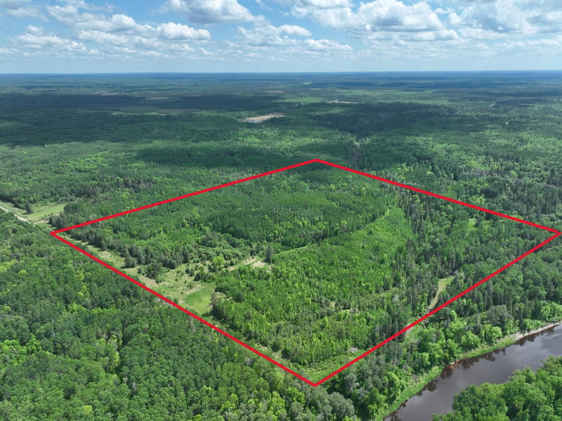 TBD Town 43 Rd E, Littlefork, MN 56653