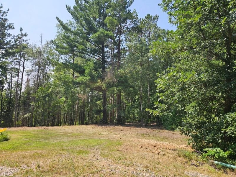 TBD 330th St, Shevlin, MN 56676