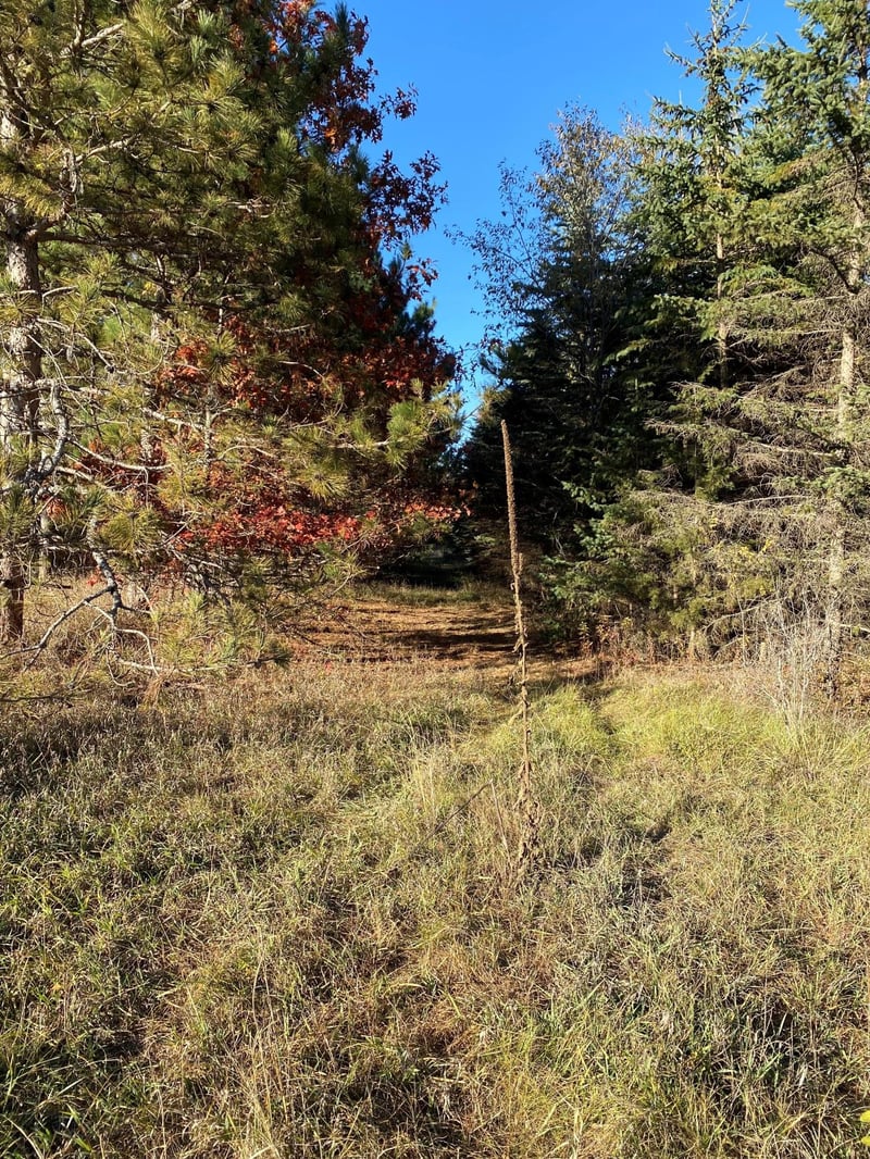 17201 Saint Francis Blvd, Ramsey, MN 55303
