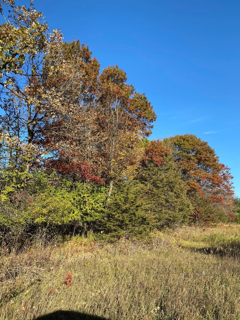 17201 Saint Francis Blvd, Ramsey, MN 55303