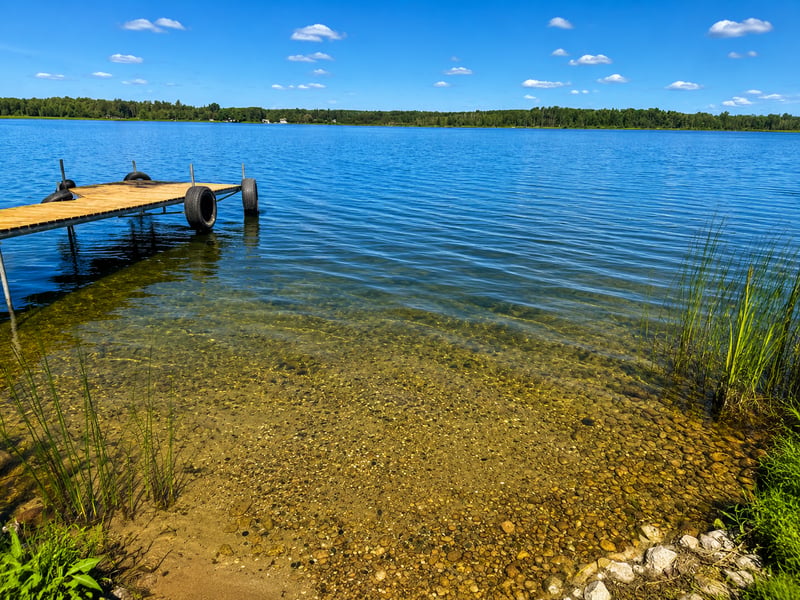 49410 Center Point Rd, Bigfork, MN 56628