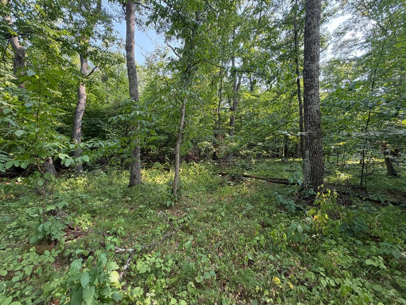 TBD Pawnee Cir, Breezy Point, MN 56472