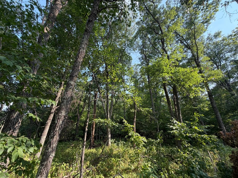 TBD Pawnee Cir, Breezy Point, MN 56472