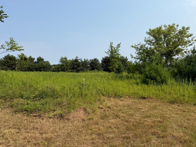 N1396 934th St, Mondovi, WI 54755