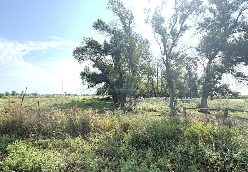 TBD County Road 7, Howard Lake, MN 55349